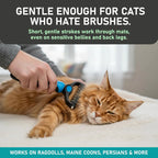 Double Sided Pet Brush